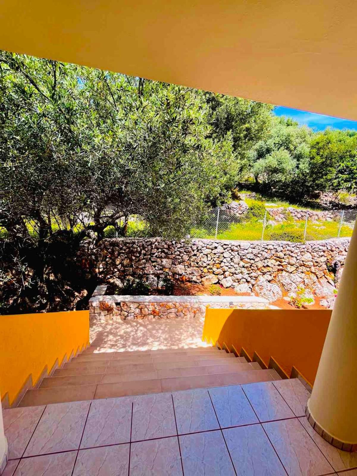 Asteras Studios Argostoli  Exteriér fotografie