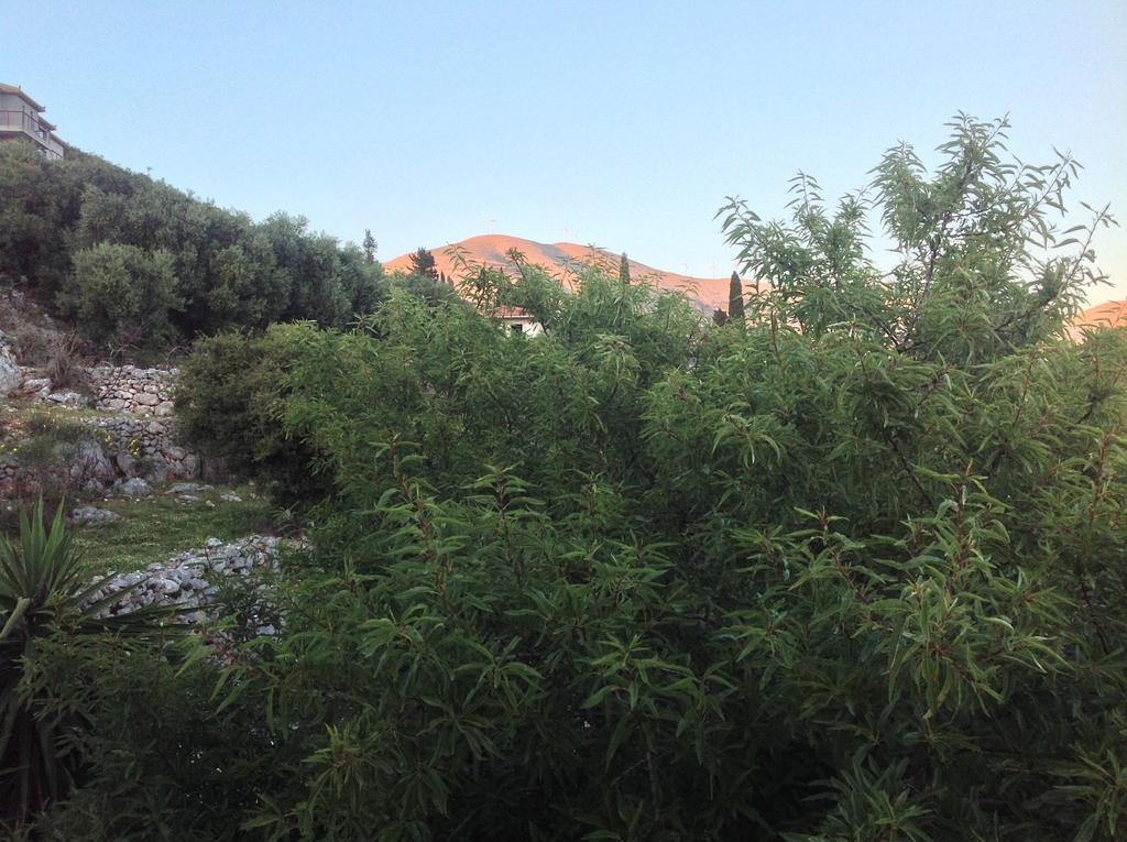 Asteras Studios Argostoli  Exteriér fotografie